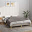 Lichter Blanket-1052785005