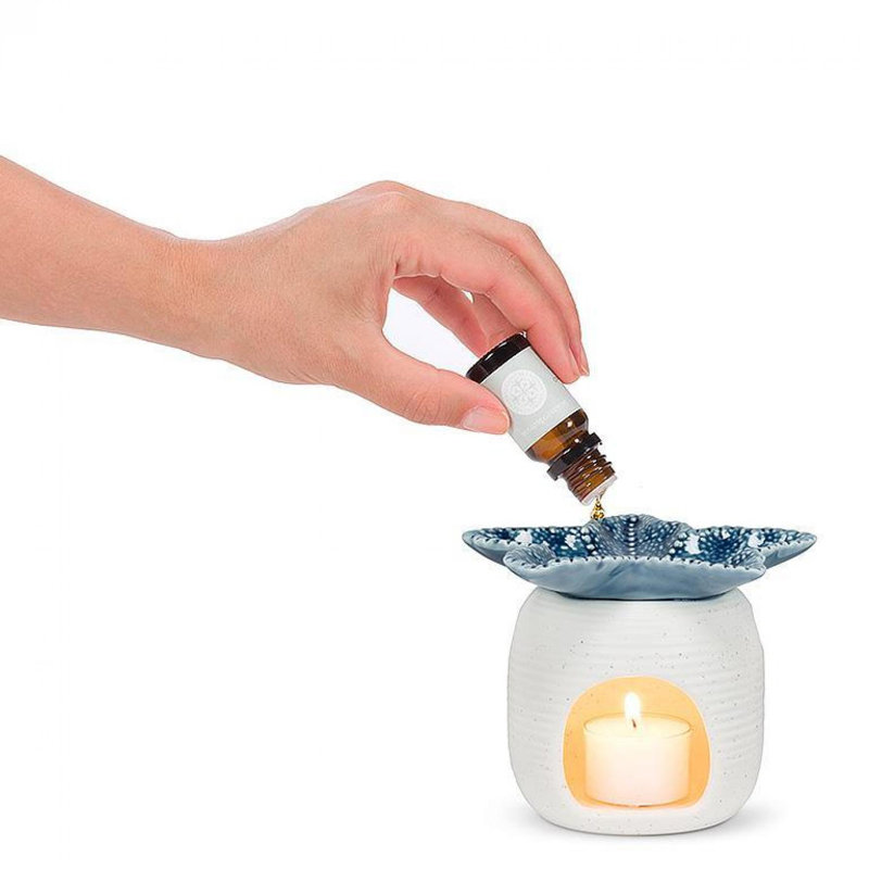 Diffuseurs d'huile essentielle Caldicott