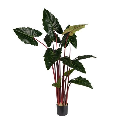 180cm Plant