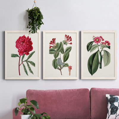 Ensemble de 3 peintures sur toile Roseat Blooms IV