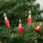 100ct Mini Valentine's Day Light Set 20ft Wire-72613909-72613910