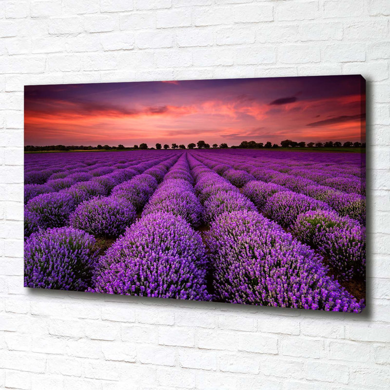 Lavender Fields Landscape - Wrapped Canvas Print, 70 cm H x 100 cm W, Canvas