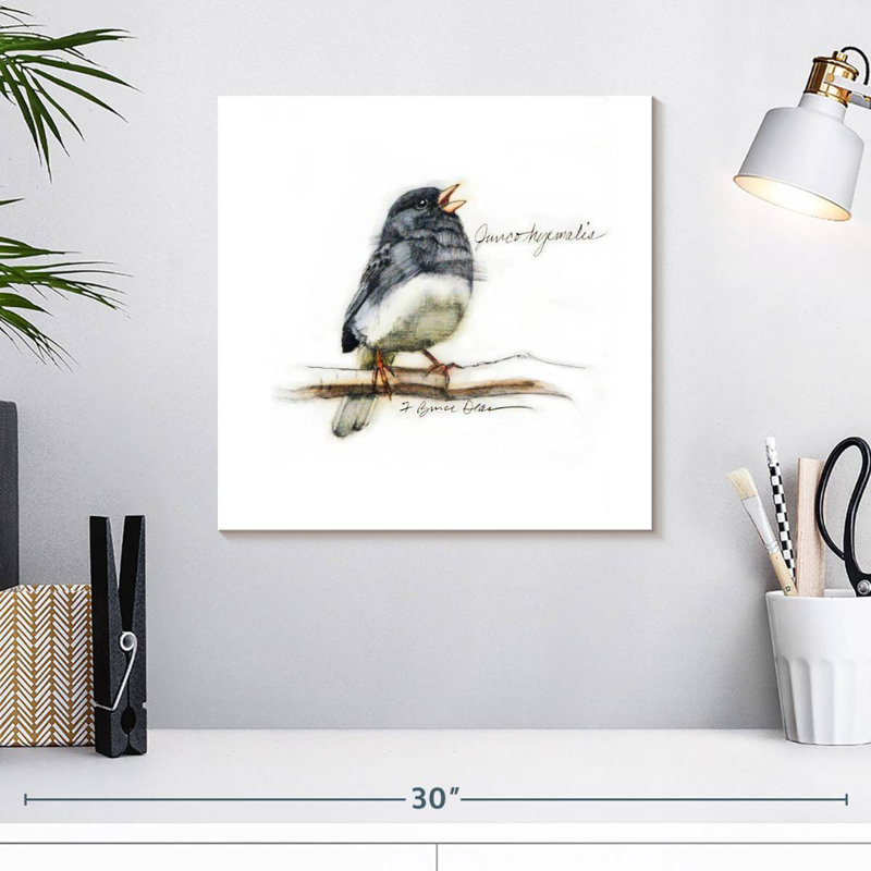 Junco II, 16" H x 16" W