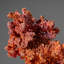 Copper Crystal Cluster from Chengmenshan Mine, Jiangxi Province, China