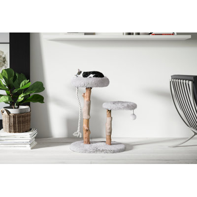 Sechrist 32 " H Cat Scratching Post