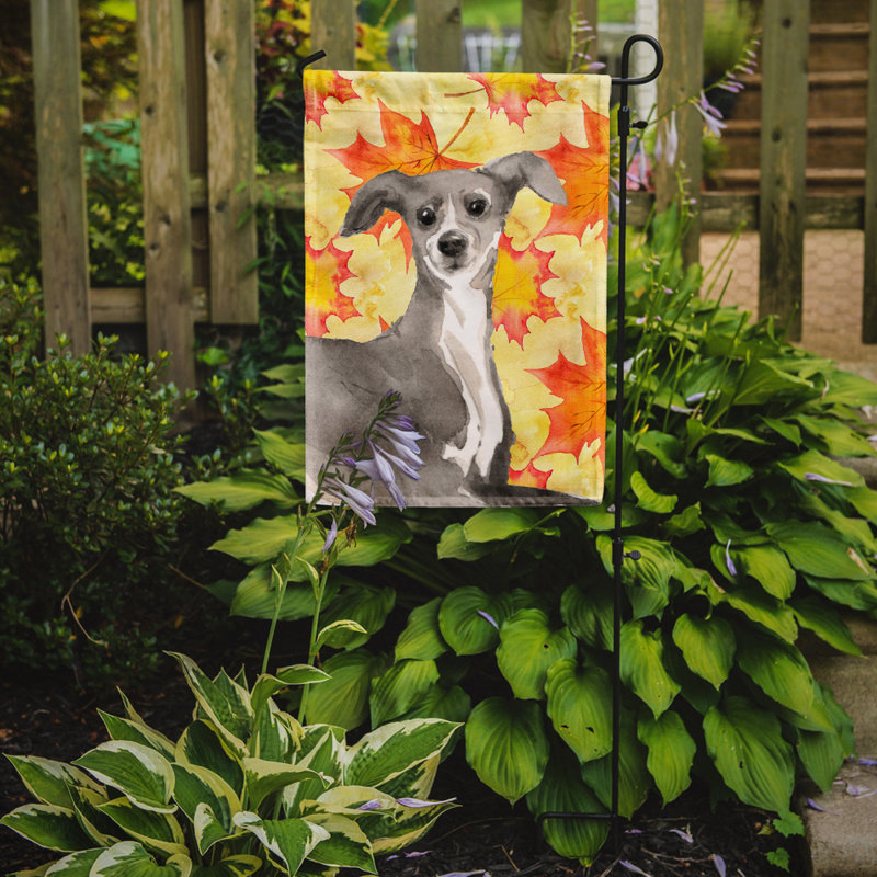Automne 2 côtés en polyester 15 x 11 po drapeau de jardin, Lévrier italien gris