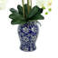 Arrangement floral orchidée dans un vase