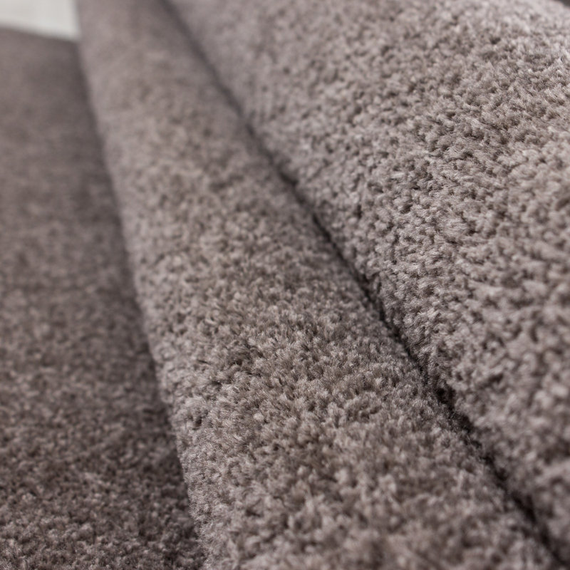 Tapis
