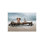 «Elephant and a Dog Are Sitting on Driftwood» par Mike Kyiv - sans cadre
