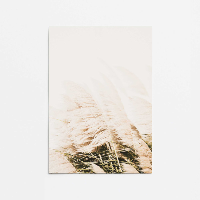 Imprimé de pampas doux, dans un cadre, Papier, H 14 po x l 11 po x P 0,1 po