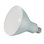 13 Watt LED Bulb