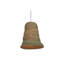 Goldeen Pendant Light