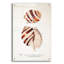 Art mural en verre acrylique 24 po x 36 po «Sienna Shell Collector 4» par Annie Warren-813148766