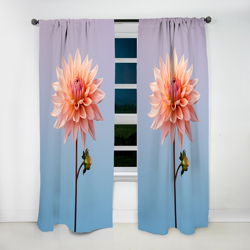 Jeanette Eternal Pink Dahlia Blooms - Dahlia Curtain - Velvet Room Darkening - 1 panel, 52" W x 120" L
