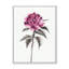 Fleur rose rétro - peinture sur toile-59709498-59778651