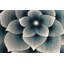 Tapis turquoise / gris Stinson