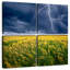 Orage Alvord-109133909