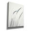  «Field Grasses III» par Debra Van Swearingen, art mural sur toile, 26 po x 34 po-1184631956