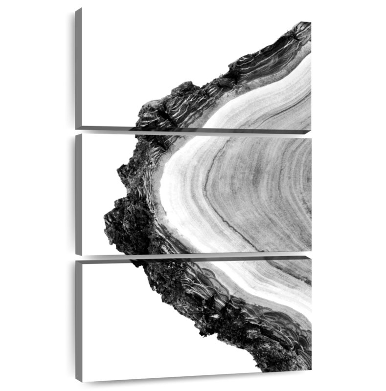 Harnek Tree Cross Section, 45" H x 28" W