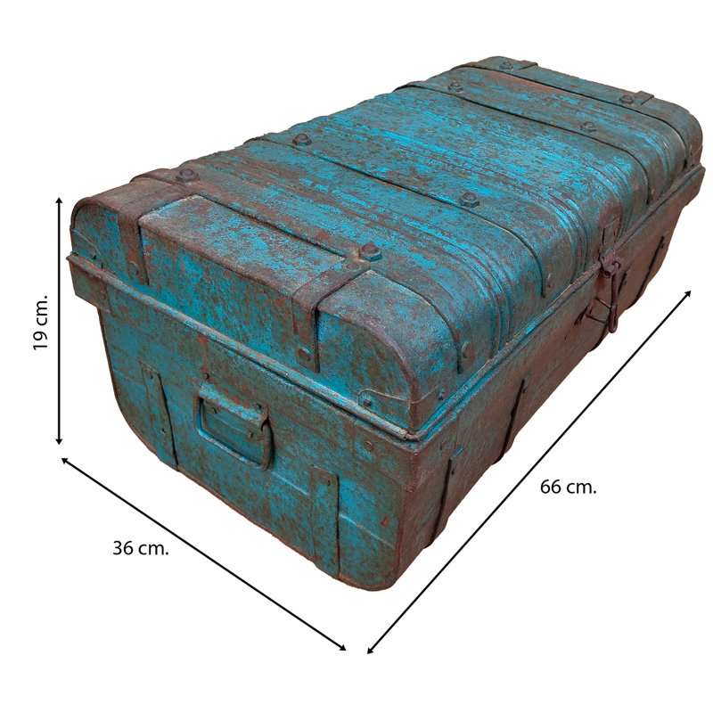 Ahni Handmade Decorative Trunk