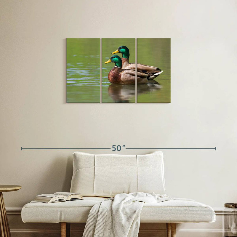 Coupe de canards colvert, H 20 po x l 33 po