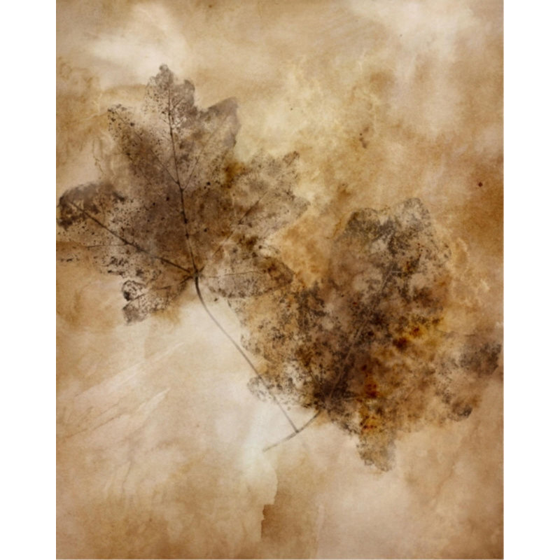 Autumnal Leaves III Print by Mari Urasawa, Outdoor, 30" H x 24" W