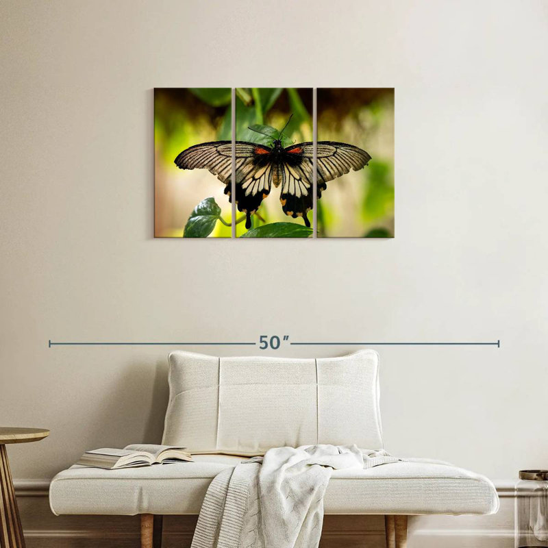 Brampt Monarch Butterfly, 20" H x 33" W