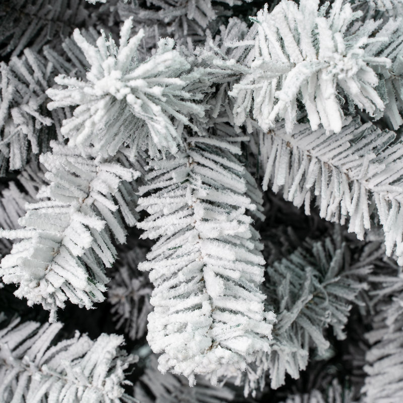 Green Pine Flocked/Frosted Christmas Tree, 5'10" H