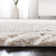 Sparta Shag Geometric Indoor/Outdoor Rug