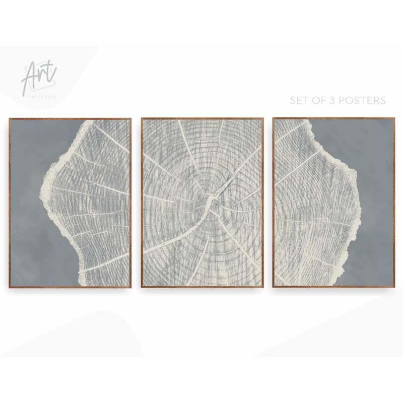 Large Tree Ring Prints, Lake House Wall Art, Set of 3 Wood Blocks, H 48 po x l 108 po, Impression sans cadre