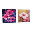 «Tropical Floral Hibiscus Beauty III - Hibiscus», ensemble de 2 peintures murales en acrylique-7116107