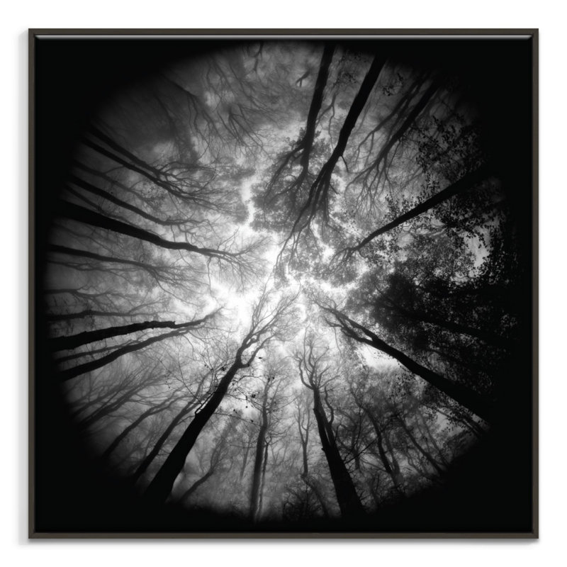 Print on Canvas, Black, 102cm H x 102cm W