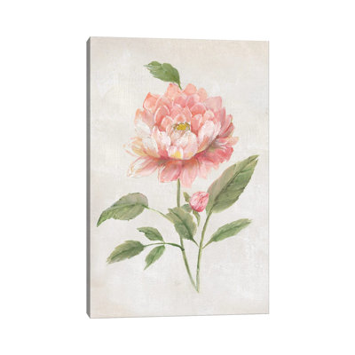 Grandiflora III by Nan - Wrapped Canvas Art Prints 1 Piece Wrapped Canvas Wall Art