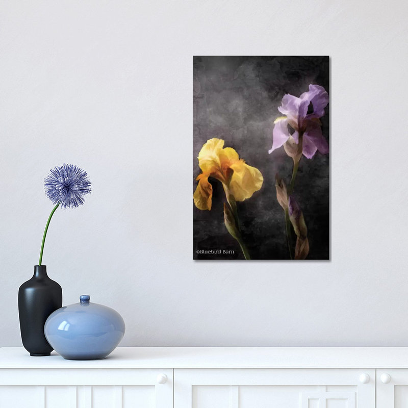 Contemporize Floral Iris by Bluebird Barn - Wrapped Canvas Painting, 30.48 cm H x 45.72 cm W