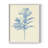 Verditer Fig I Framed Print - Solid Wood-789273017-789273008