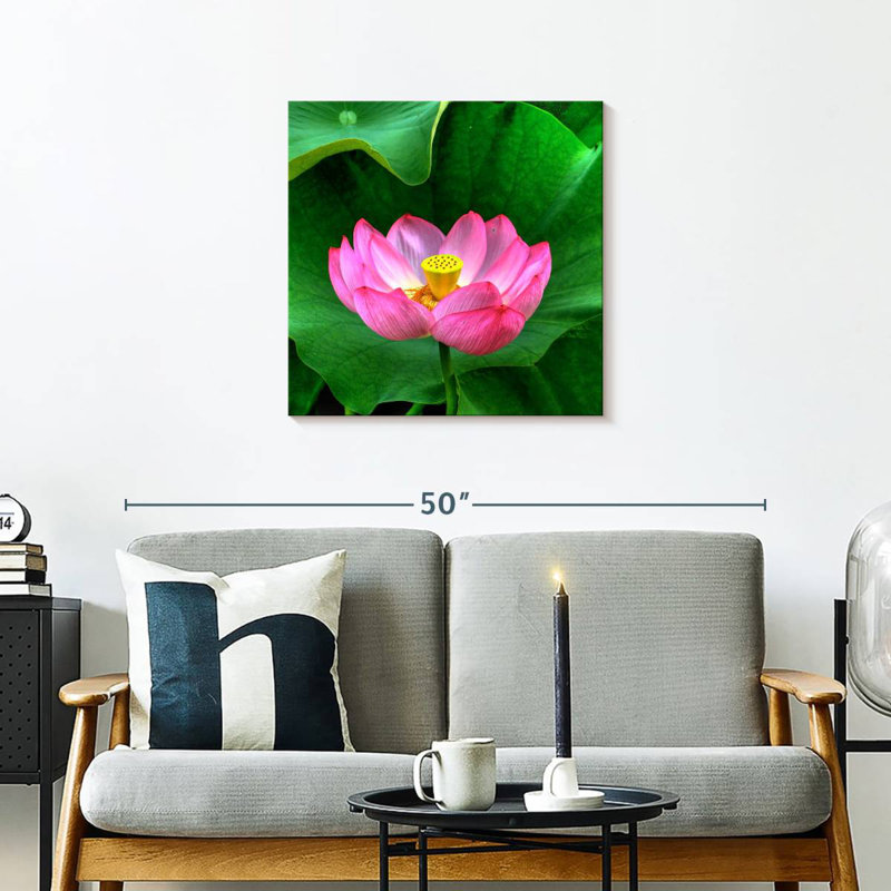 Lotus Harnek, H 24 po x l 24 po