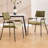 Modern Upholstered Dining Chairs With Backrest And Armrest, With Metal Frame, For Dining Room/Living Room-2029909932