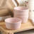 Stone Lain Albie 32-Piece Dinnerware Set Stoneware-48800304