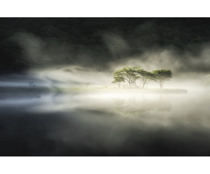 Wrapped Canvas Print, 81.28cm H x 121.92cm W