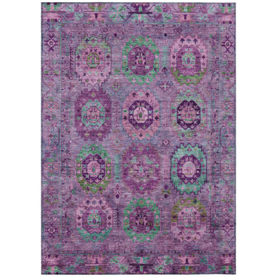 Machine Washable Indoor/Outdoor Chantille ACN2228 Panel Rug