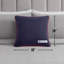 Coussin 1 pièce à logo Champion 18 po x 18 po