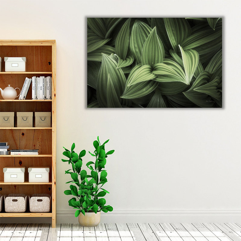 Corn Lily I - reproduction d'art sur toile, 20" H x 30" W