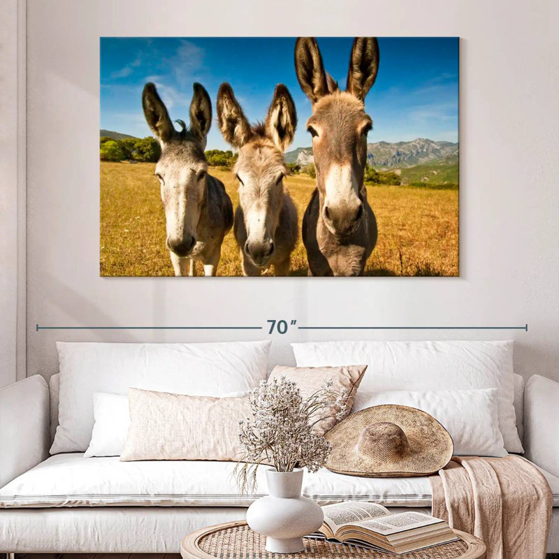 Brampt Donkey Trio, H 34 po x l 51 po