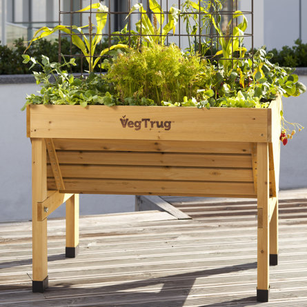 Classic VegTrug - Natural (FSC 100%)