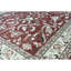 Wool Oriental Area Rug in Rust/Ivory