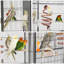 Cage à oiseau 69 po Tocoloma-895789191