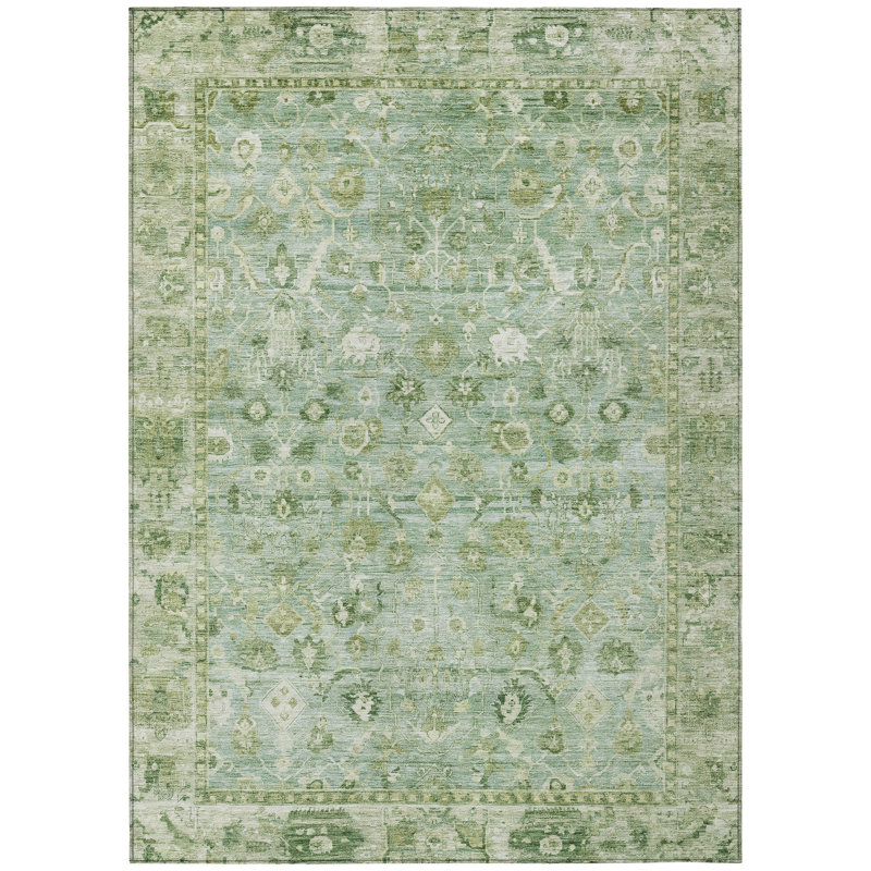 Machine Washable Indoor/Outdoor Xhevrie Aloe Rug, Rectangle 10' x 14'