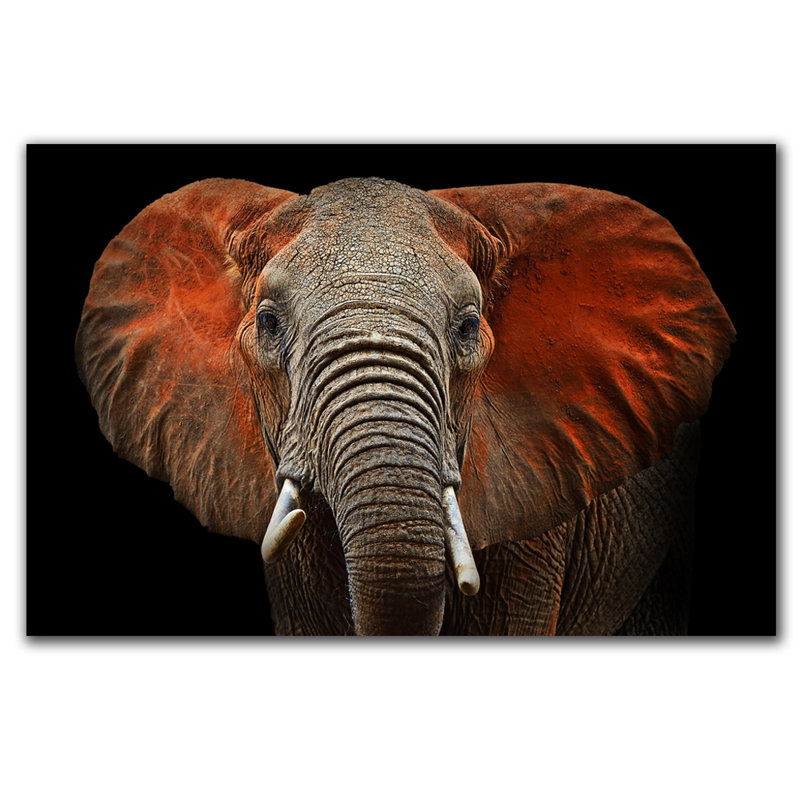 African Elephant " African Elephant ", Acrylic, 24" H x 36" W x 2.5" D