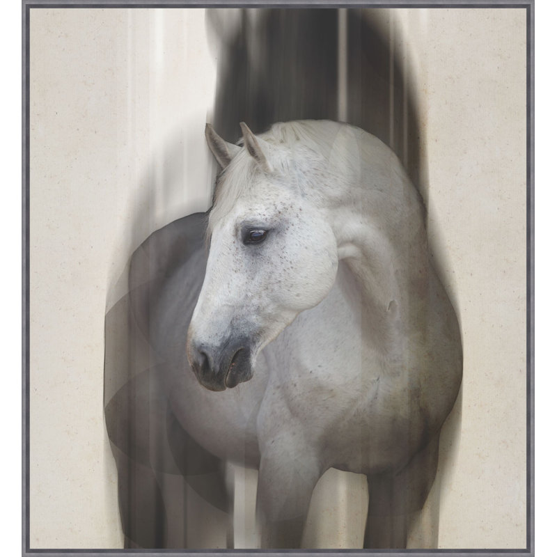 Lady Gray 1 Framed Photographic Print Canvas, 53.25" H x 49.25" W