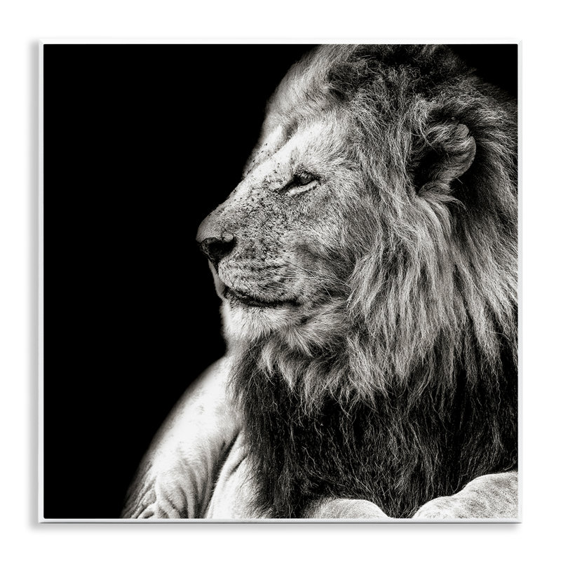«Lion Portrait on Black» par Shelley Lake